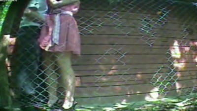 На улице, Русское домашнее, Скрытая камера,