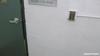 Большие сиськи, Волосатые, Лесбиянки, Мастурбация, Оральный, Кунилингус, Женский оргазм,