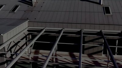 Блондинки, Большой член, Негры, Анальный, Большие жопы, Волосатые,